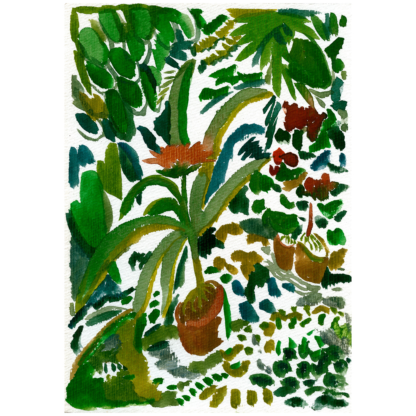 花园里的热植_纸上水彩，17x24cm，2025