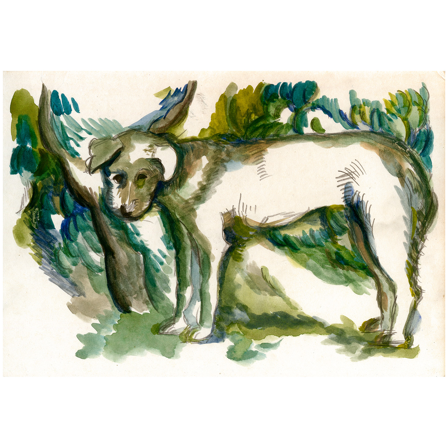 树下的小狗_纸上水彩，约20x28.8cm，2025b