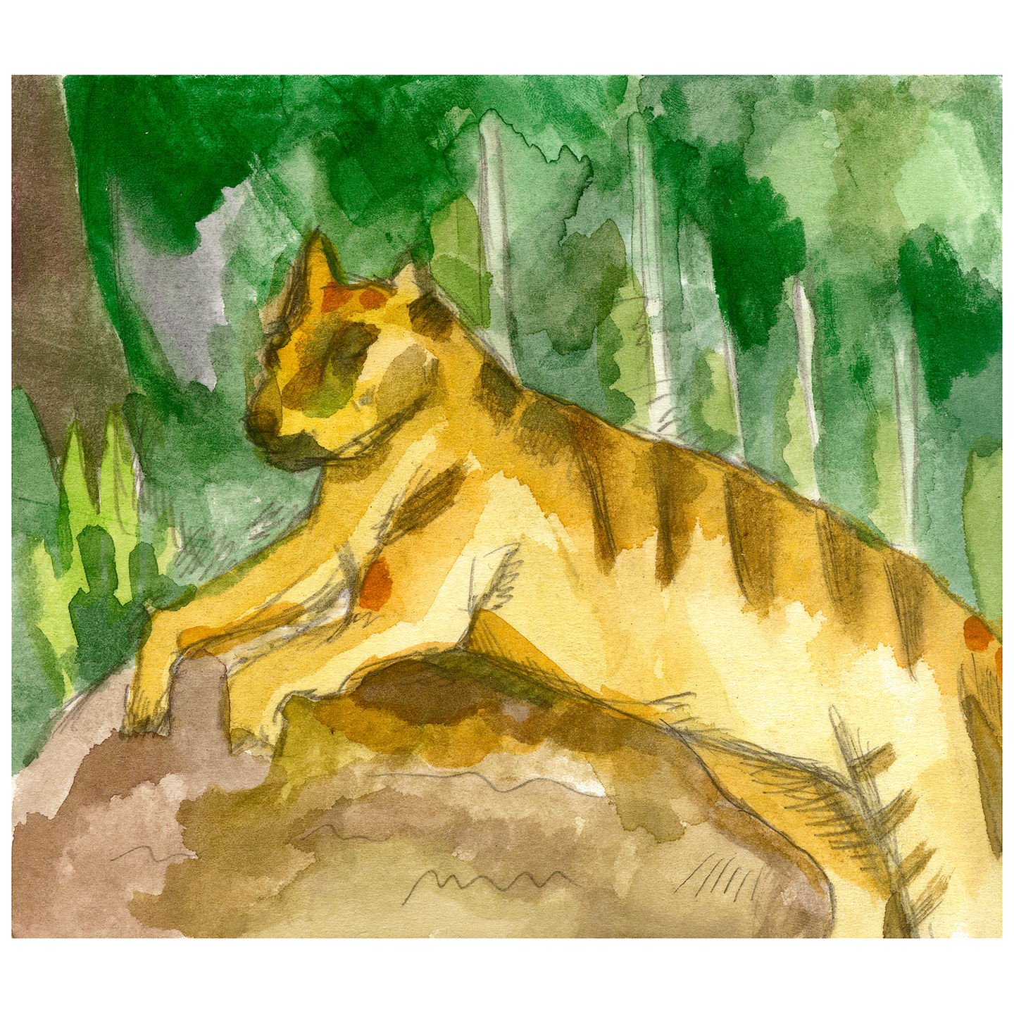 树林里的老虎_纸上水彩，14.8x20.9cm，2026