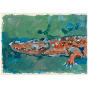 橘色的鳄鱼_纸上丙烯，20.9×29.5cm，2023