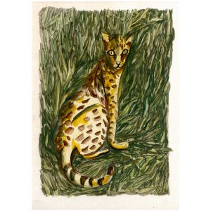 草丛里的金钱豹_纸上水彩，约21×29.6cm，2023