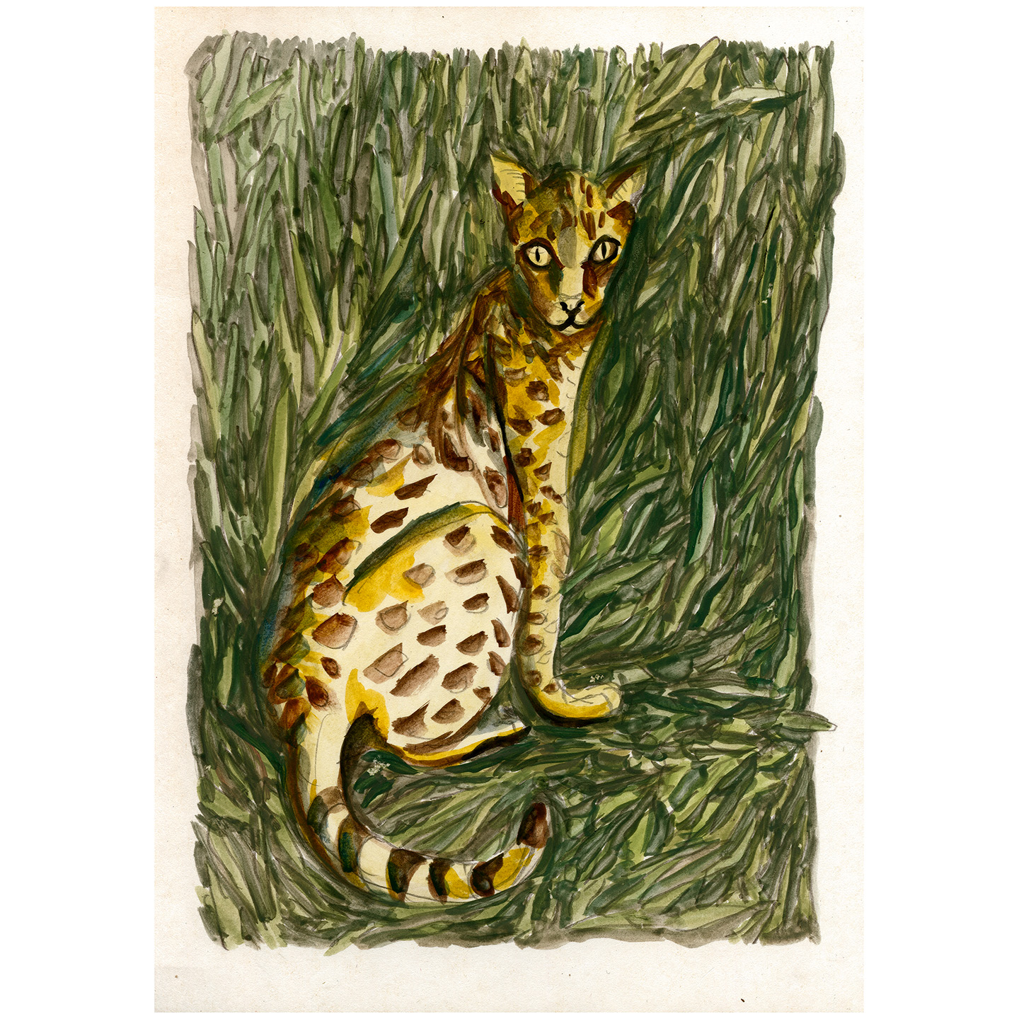 草丛里的金钱豹_纸上水彩，约21x29.6cm，2025